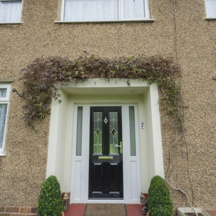 Two potted plants either side of a black composite door